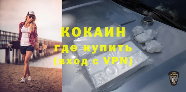 гидра Верея