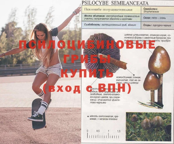 гидра Верея