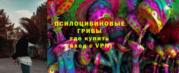 гидра Верея