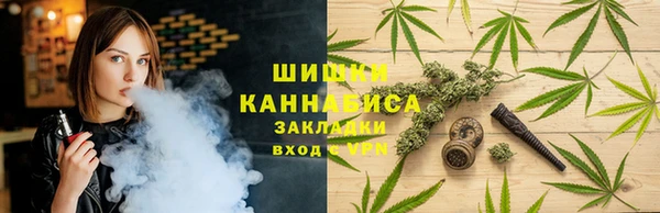 гидра Верея